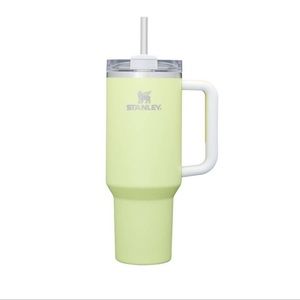 Stanley Citron color block💚